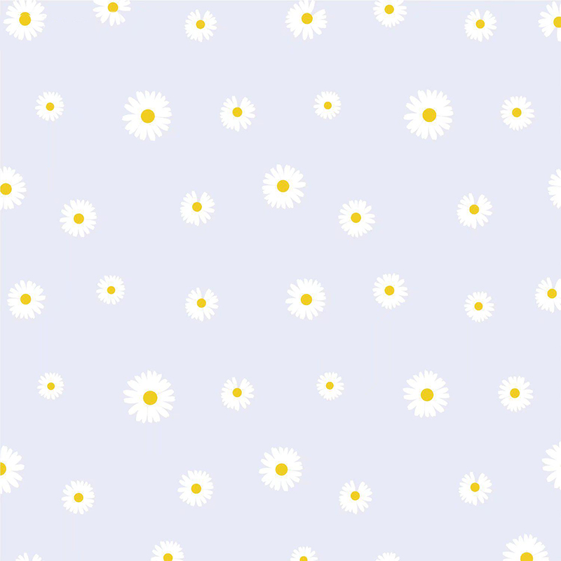 MYHC-18 Papel de embrulho de flores com filme pérola Fresh Little Daisy Pearl