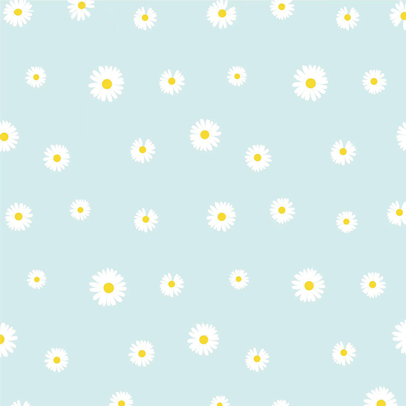 MYHC-18 Papel de embrulho de flores com filme pérola Fresh Little Daisy Pearl