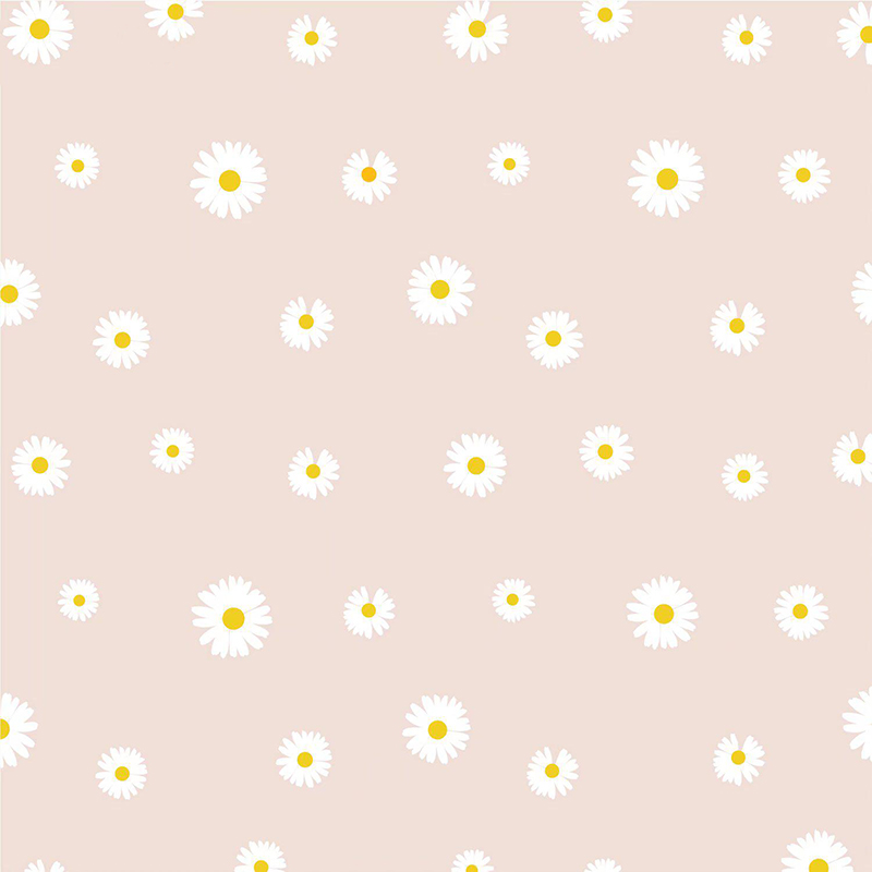 MYHC-18 Papel de embrulho de flores com filme pérola Fresh Little Daisy Pearl