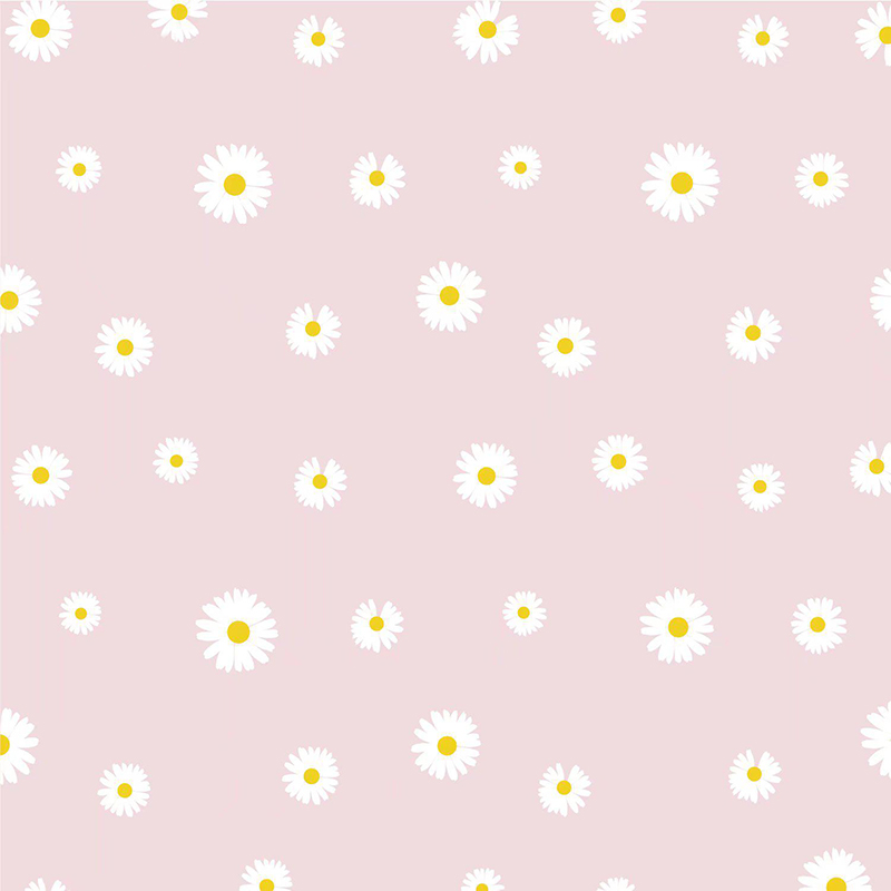 MYHC-18 Papel de embrulho de flores com filme pérola Fresh Little Daisy Pearl
