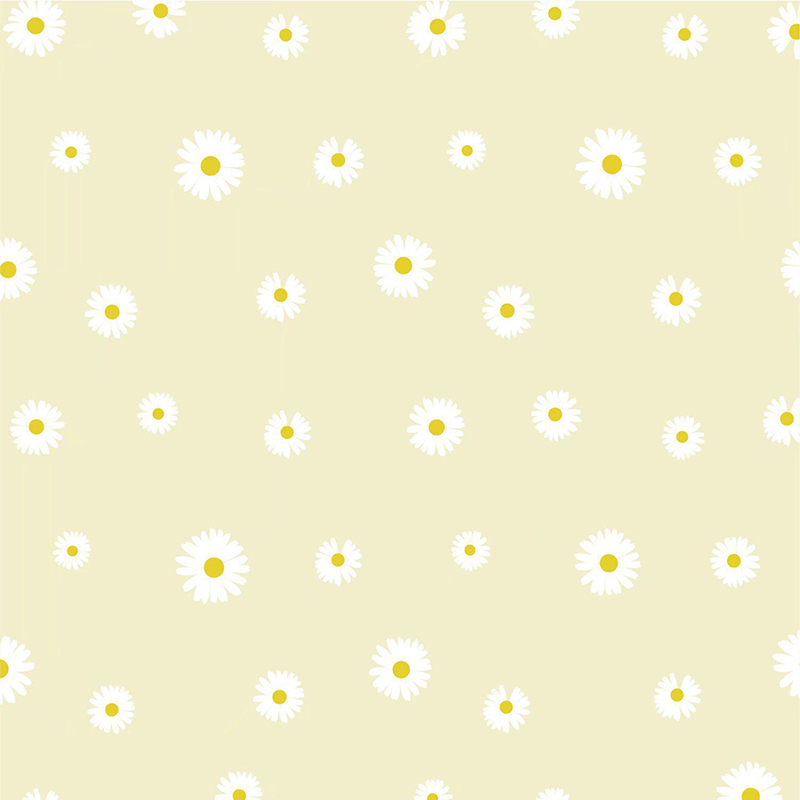 MYHC-18 Papel de embrulho de flores com filme pérola Fresh Little Daisy Pearl