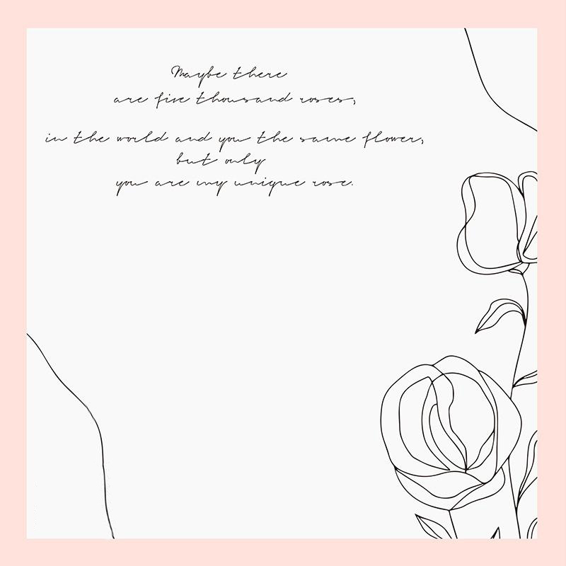 MYHC-42 Papel de embrulho de flores de algodão com borda contrastante de estilo simples