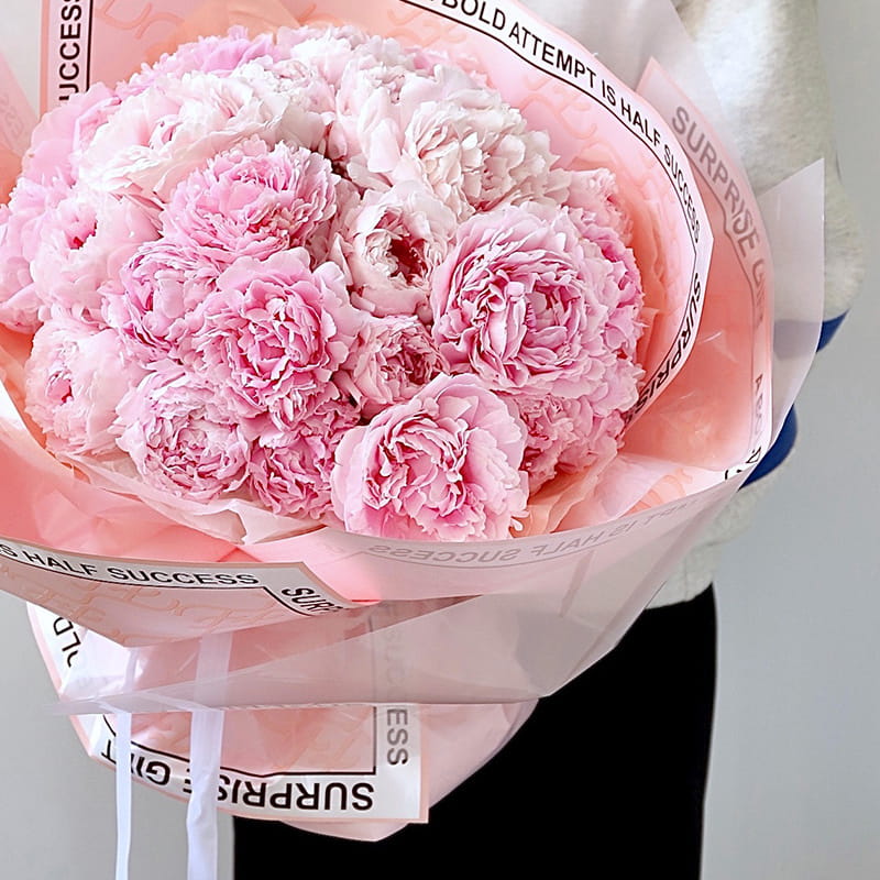 Papel de embrulho de flores da marca Hera em uma variedade de cores